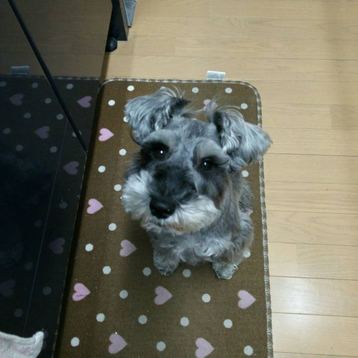 90d1af30 a772 45aa a6ff 29451ad2685a