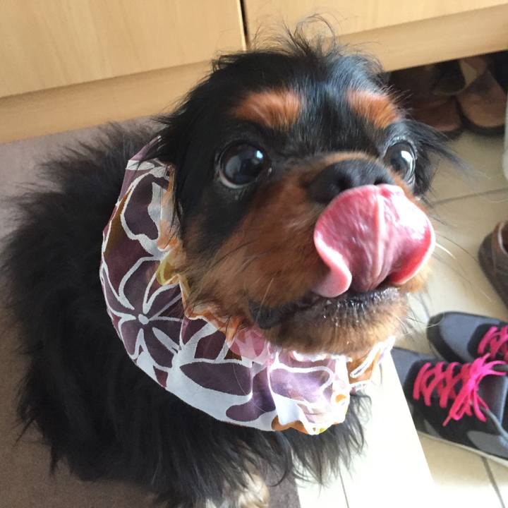 90d1bc1d 851b 415e 9b0c d39a287f7728