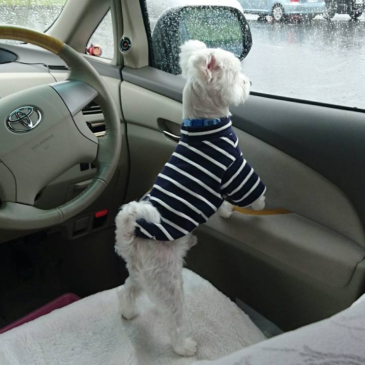 90d1c761 1723 4f83 82a2 6e884b312192