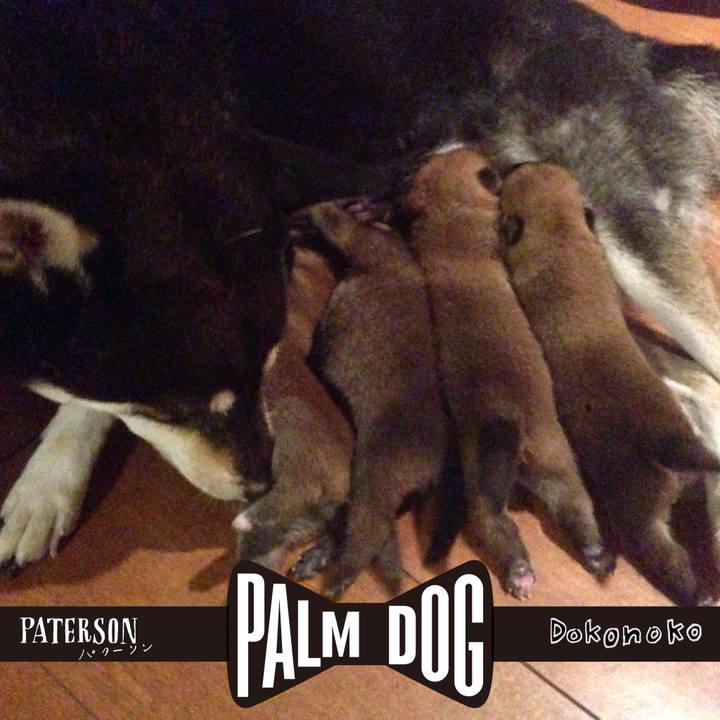 90d21720 d45b 4d98 b15c 79431fbe4616