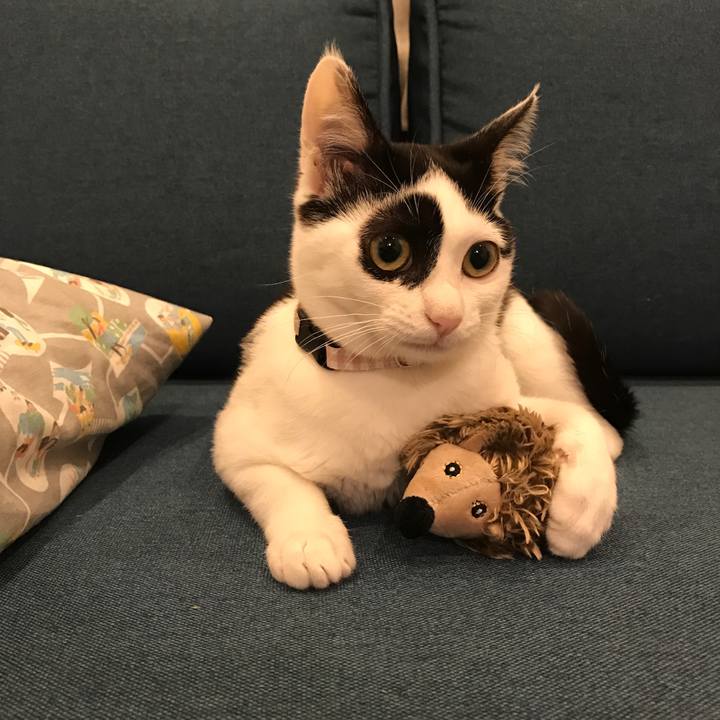 90d267ef 6a44 426c 8319 7c3b28874648