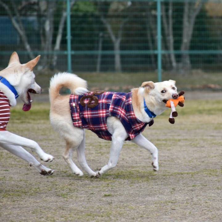 90d286b2 8b6c 4446 b606 e833333012b0