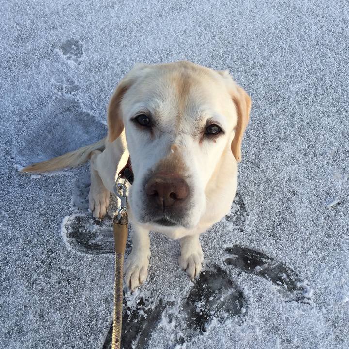 90d2cd6f 54e3 4221 8c5d 8679b782e958