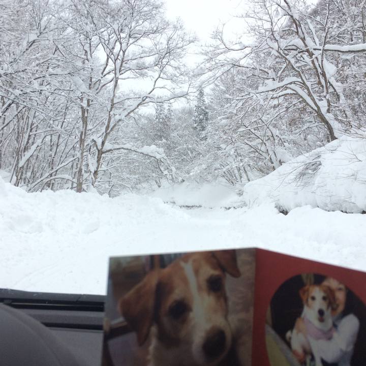 90d2dc27 8ee6 417d ae83 9470b6b4665d