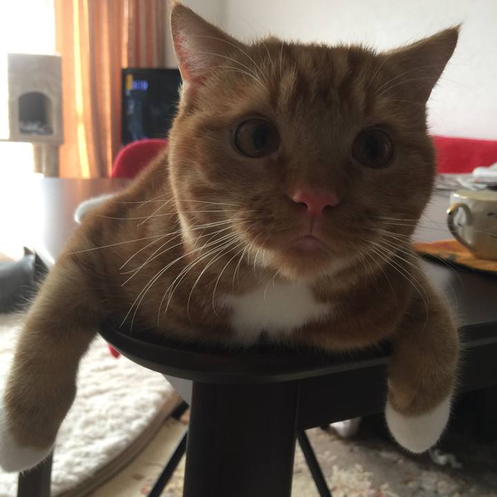 90d2dceb 6fa4 45fb 9cd3 09daf60cbfd4