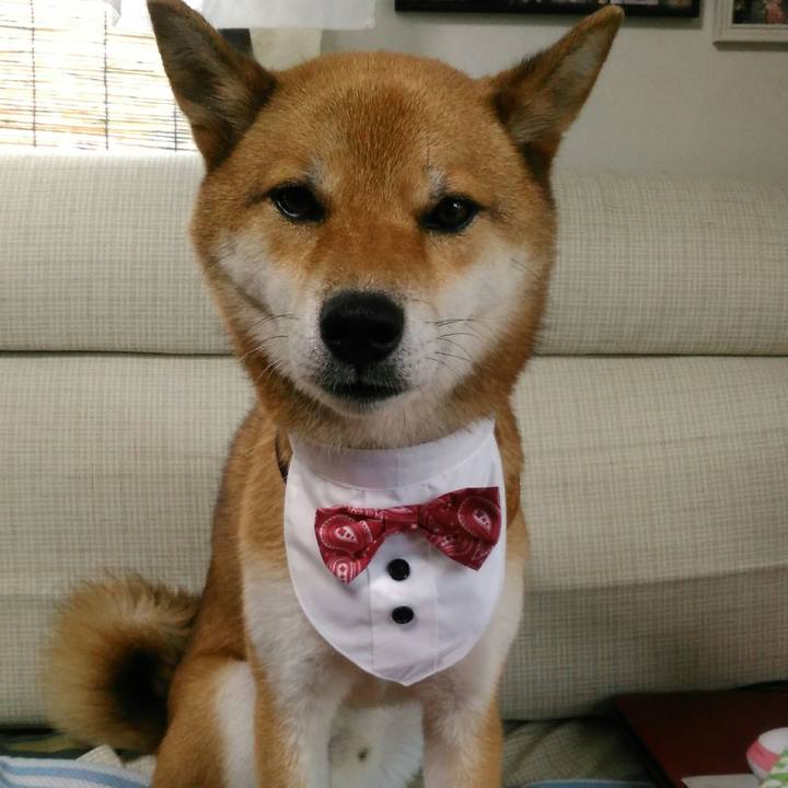 90d326aa c536 42a9 a20d ac4802bd0b52