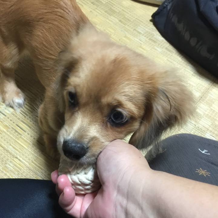 90d330e5 ebf0 48f1 a6a5 27e2864ae9b2