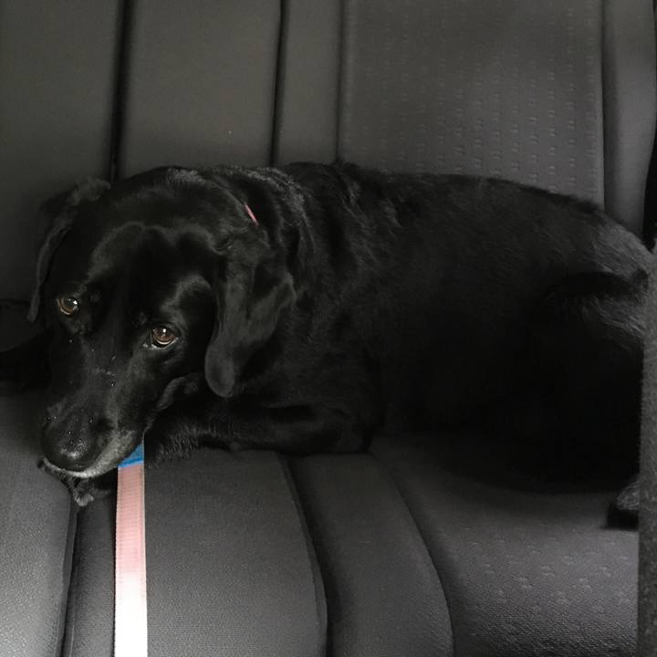 90d37271 f18d 4ce5 a4e8 b23cb7581a25