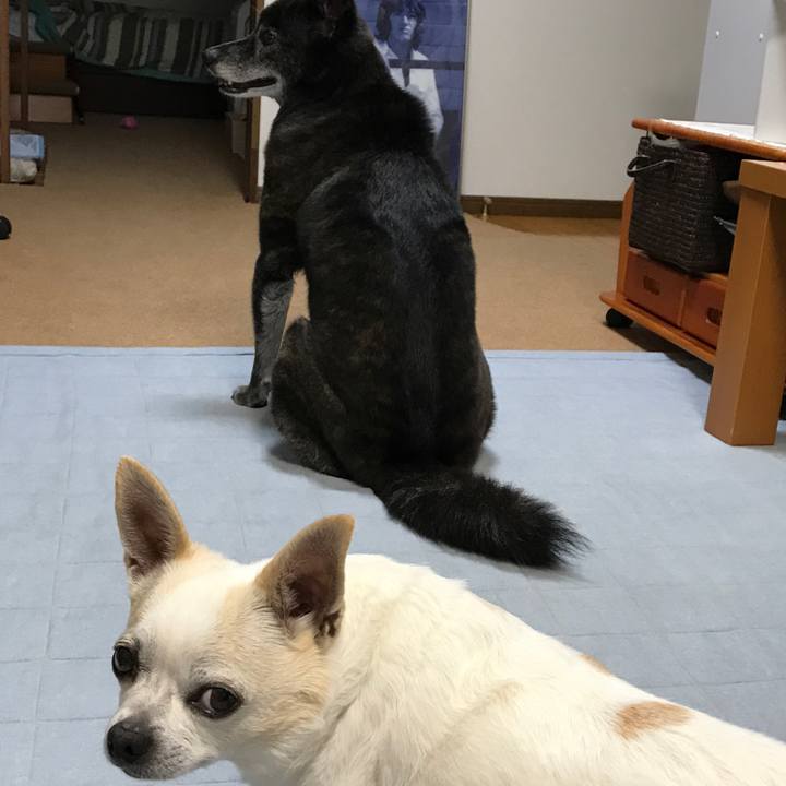 90d37bff 0bdf 4ec6 b5aa b4fc2473c321