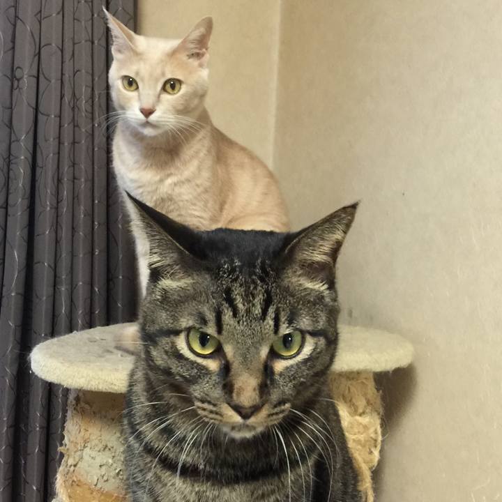 90d38b1e 9748 461a b248 ffa4830e994f