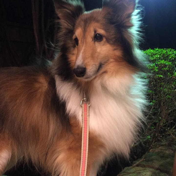 90d40e2a 04a7 4122 b4b6 a0ac302d9dbe