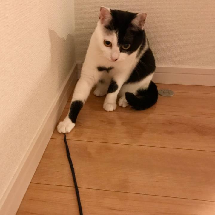 90d4d917 fc18 44f3 8b88 e47ef063a3d0