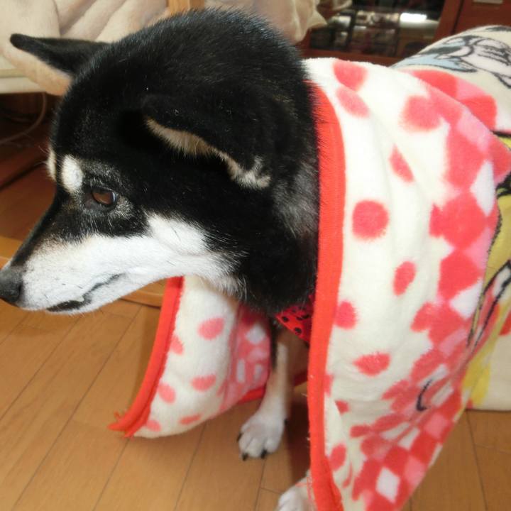 90d5196d 4911 4ac7 a8a3 94d932e93d19