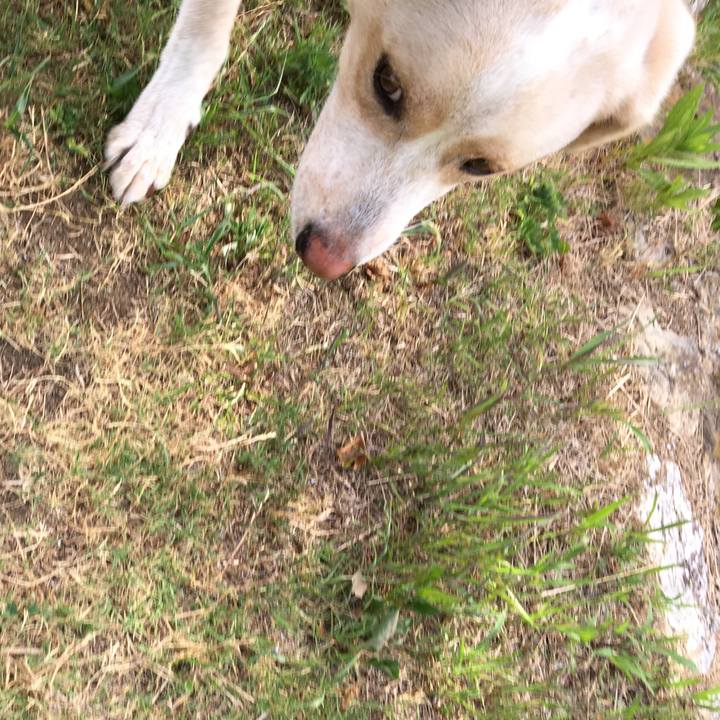 90d57845 a2d8 4247 90dd 64f1c20dd040