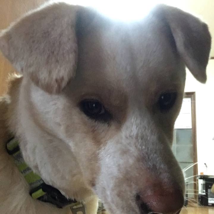 90d59941 d3e0 44dd 850e af8511f71e71