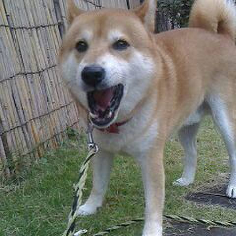 90d71113 bd7f 4304 aef8 30ee7e38b1aa