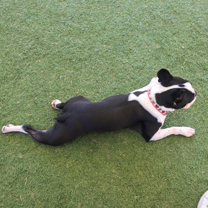 90d74f39 37d2 44ca a918 ed01034bdbae