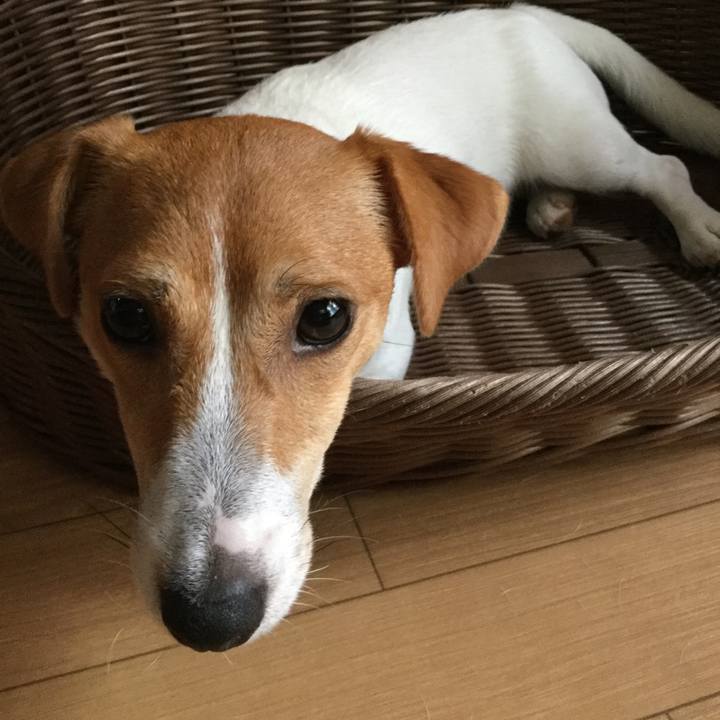 90d7ceee 6374 4155 8bbc 6b307a9254b3