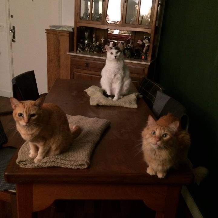 90d81831 0dee 4122 91bb b1b35ea36587