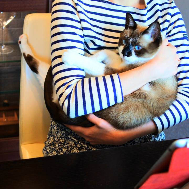 90d84e9a 6977 44f4 b4b1 fc4b0349d515