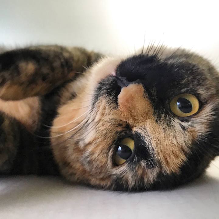 90d8d7d4 e028 426b 9607 8302de3ece3d