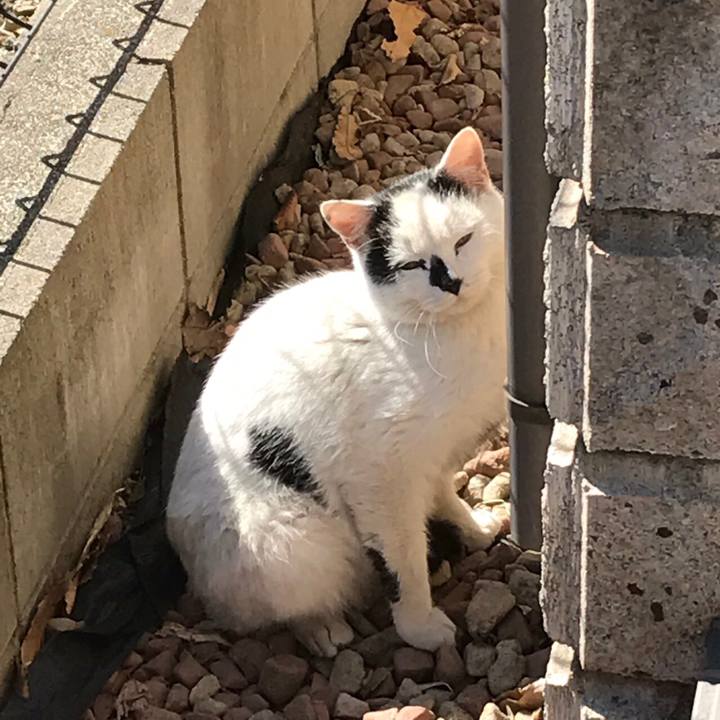 90d8eb21 b2ec 4477 9364 e2af01f5f617