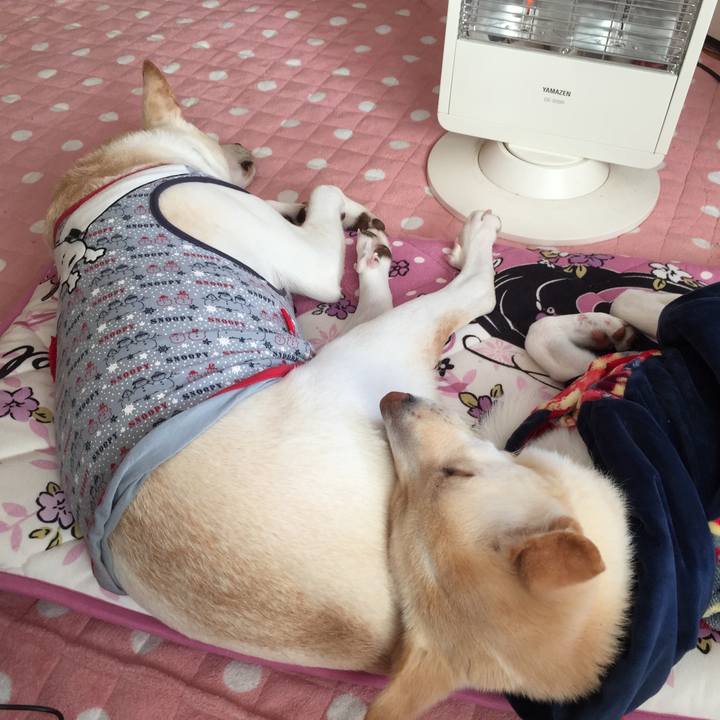 90d95743 e937 4719 a933 4da81aff5b3a