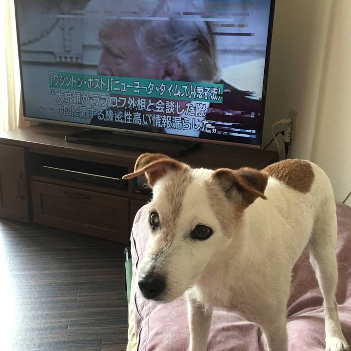 90d9d62e dd35 4c6b 9b28 481235bb72cf