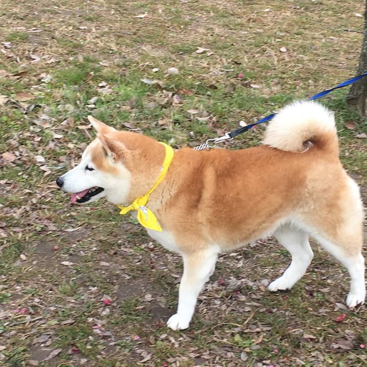 90d9dd3d 8e72 45a2 991d 36f2e5d8b1e6