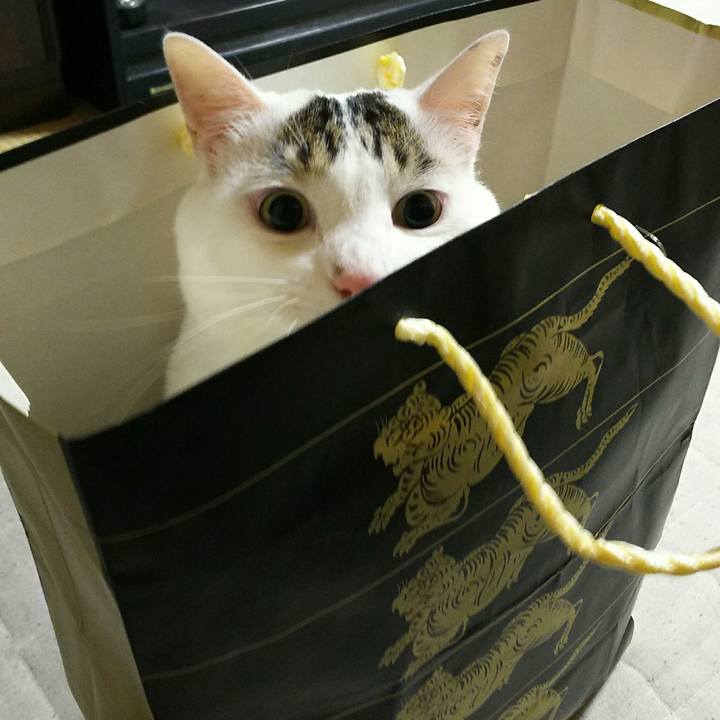 90daa65e fb0f 48bb 9bee 2d61526a7b9b