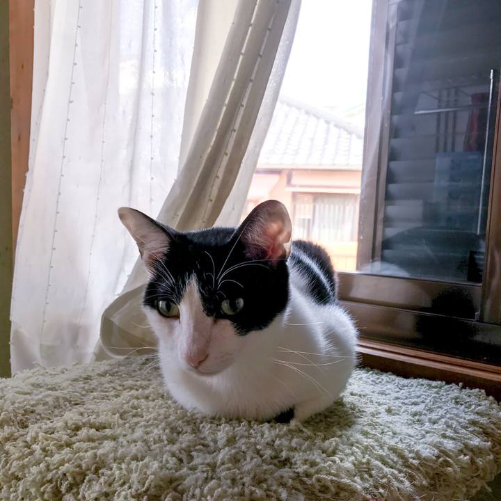 90dac89a 1e84 477c a1d7 380a6d7bc873