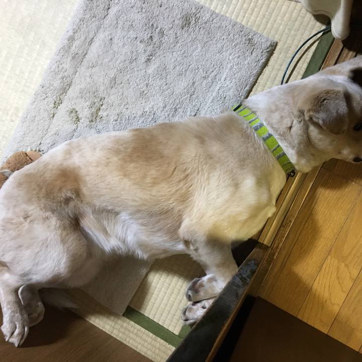 90dbda9e b0a9 4b73 a3d0 a35a96bba858