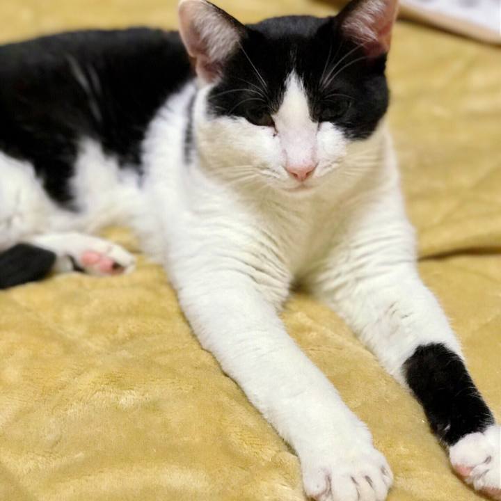 90dc0071 0618 419c a35b e9a8195886b0