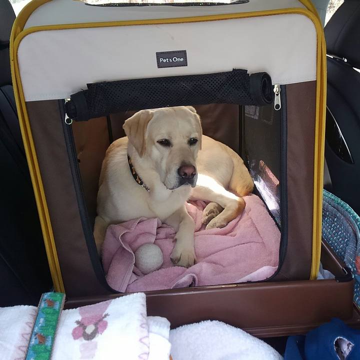 90dc2787 1aeb 4313 8ed7 1874fdb4aeca