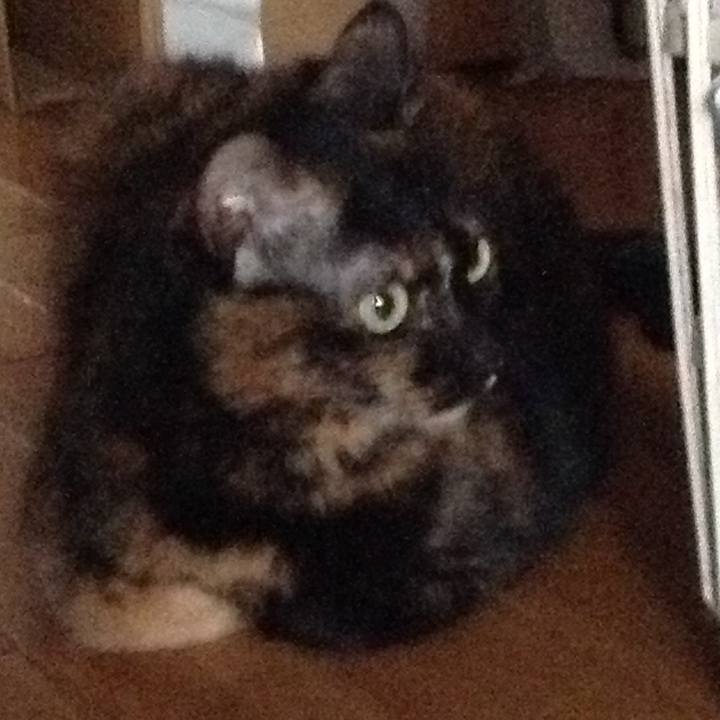 90dc65d6 d4a7 49b4 8b02 c5e7f4e1c7b4