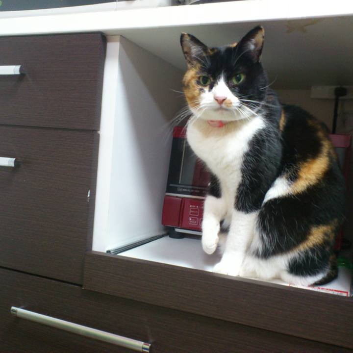 90dcb369 28f2 4543 8a26 d90aa1864ed9