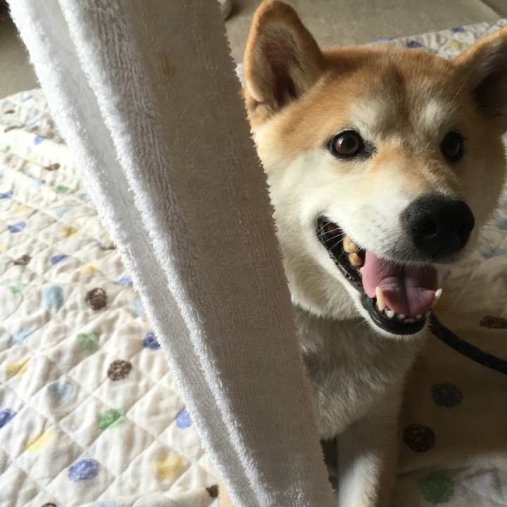 90dcd198 2a38 4eba a8c6 f5718e8082d8