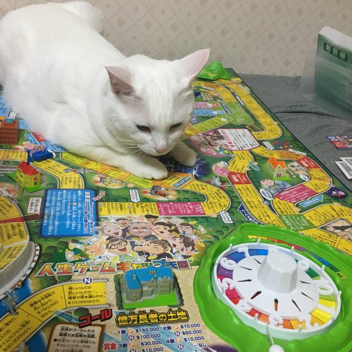 90dcd3c5 5137 4e24 80b3 f2982e90355f