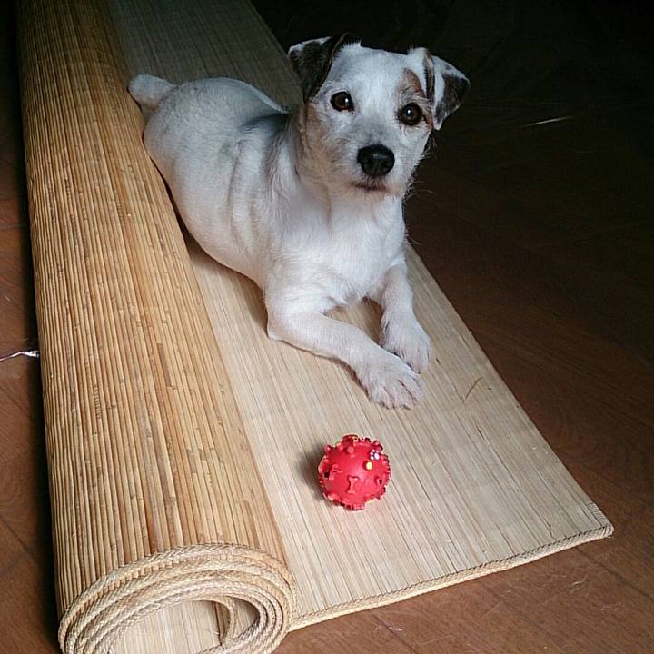 90dce0b5 7930 43ad 8651 9175fc73f5f2