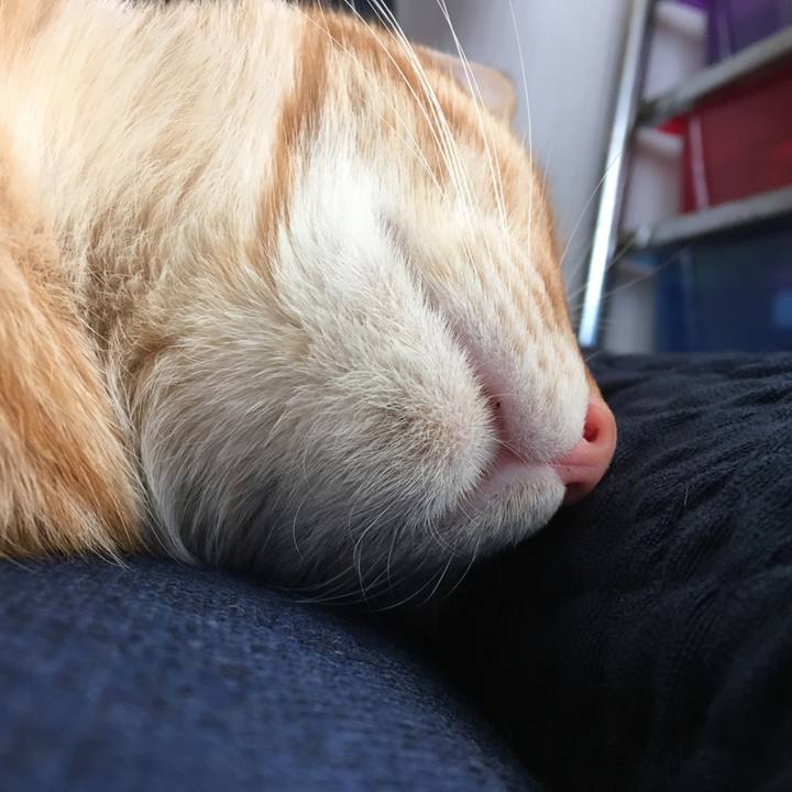 90dd2a79 433c 4e0c 8e0f c1ede38aa967