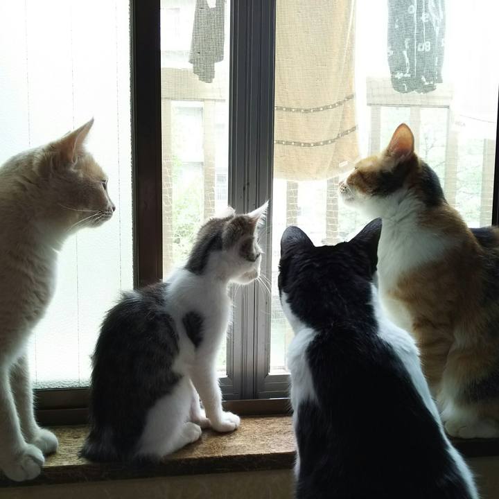 90dd334c 8f37 4fd6 bee9 8dc5545d97ad