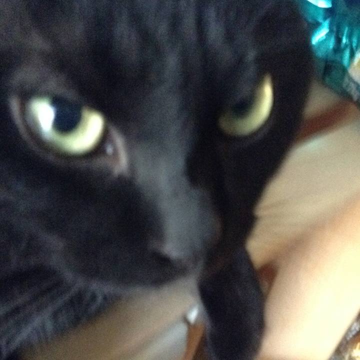 90ddfb93 005a 42f0 8738 43d345dbda91