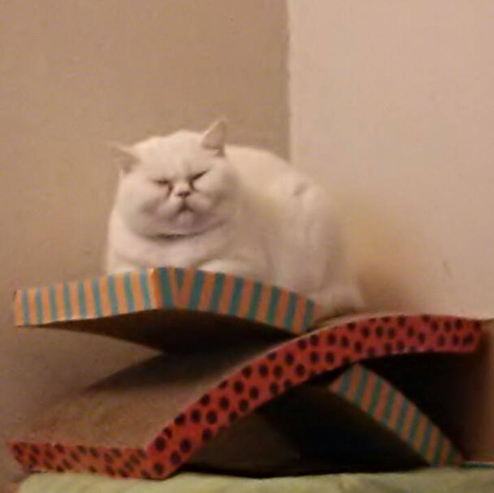 90defca4 83d9 451c 8b6e c490dbb42eeb