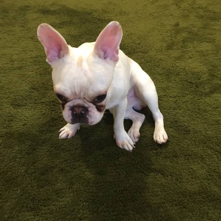 90df0ef2 936f 4bc1 a43b fbdbca05c64b