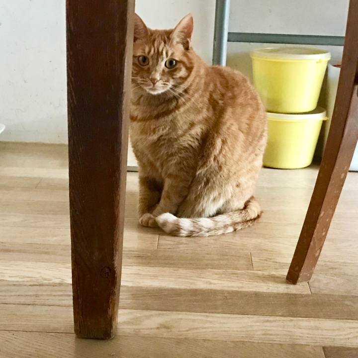 90df17d2 99cb 4e68 8764 0702783513e2