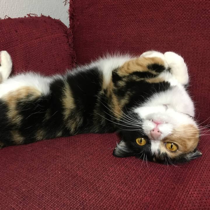 90e090e6 cc29 4fa5 803c 72e7bab33454