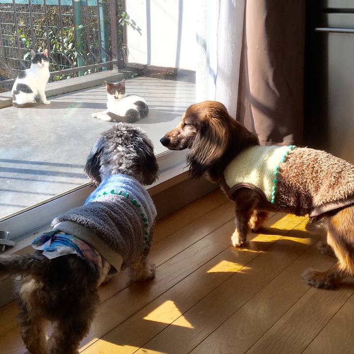 90e09cd6 617c 4f19 abb8 aacd413e332f