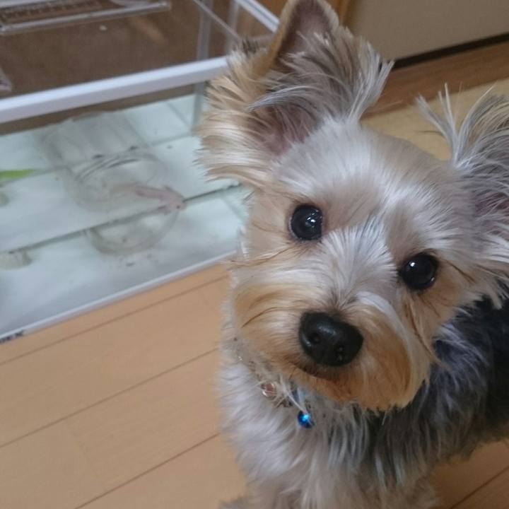 90e10307 7c07 4cc1 be90 840f54fcfef3