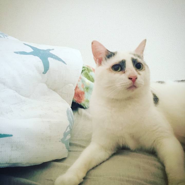 90e1c6f9 c38b 4581 b1d4 74df6b219742