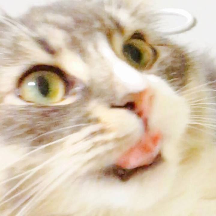 90e1d7eb b2cc 420d b8cd 41e6aac93f5a